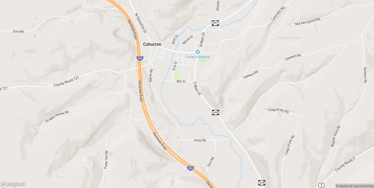 Internet in Cohocton