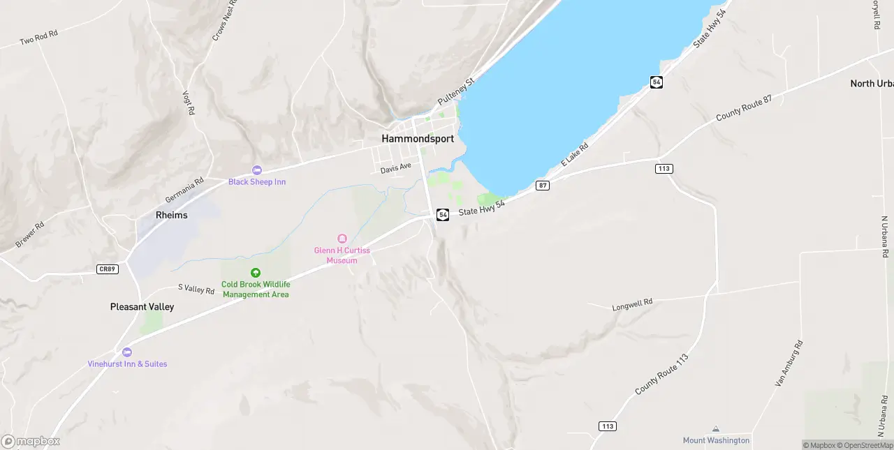 Internet in Hammondsport