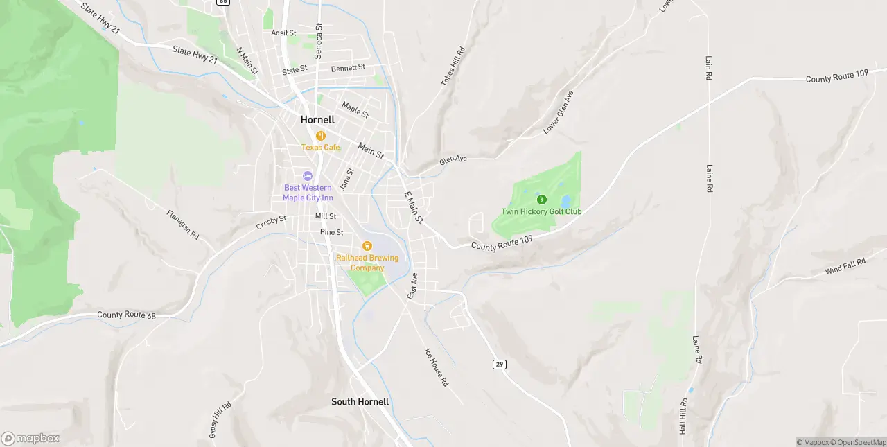 Internet in Hornell