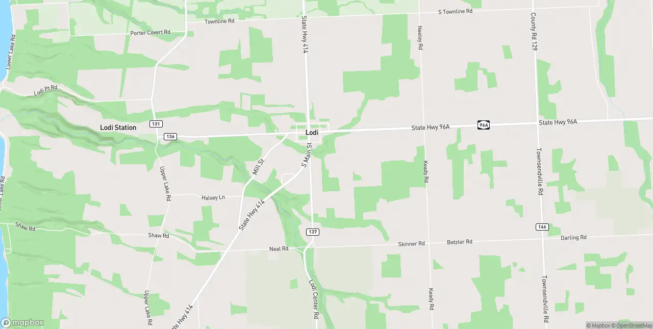 Internet in Lodi