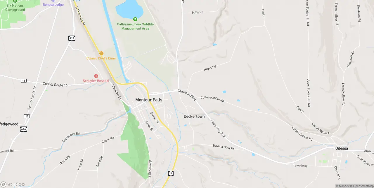 Internet in Montour Falls