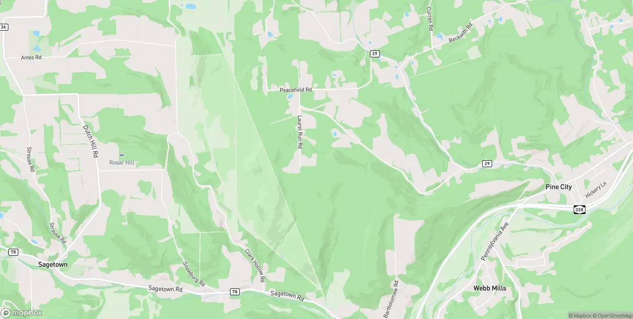 Internet in Pine City