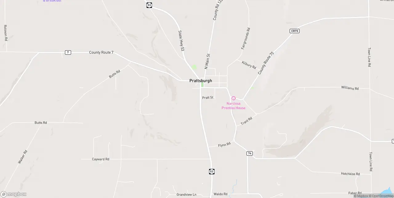 Internet in Prattsburgh