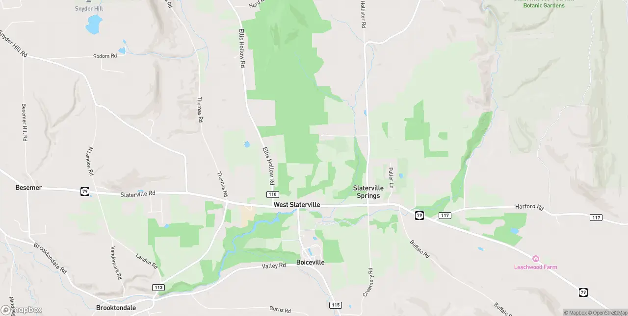 Internet in Slaterville Springs