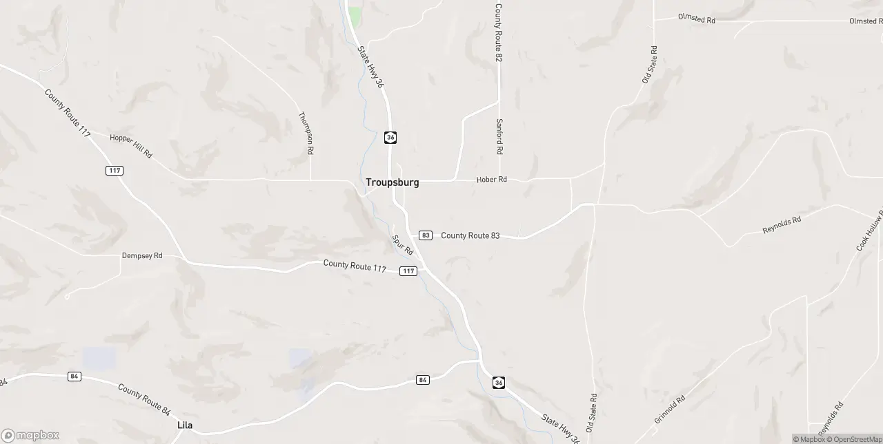 Internet in Troupsburg