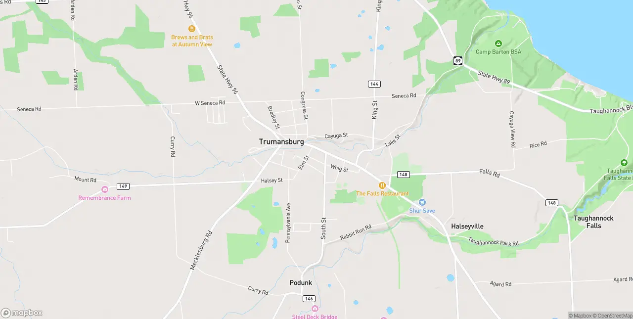 Internet in Trumansburg