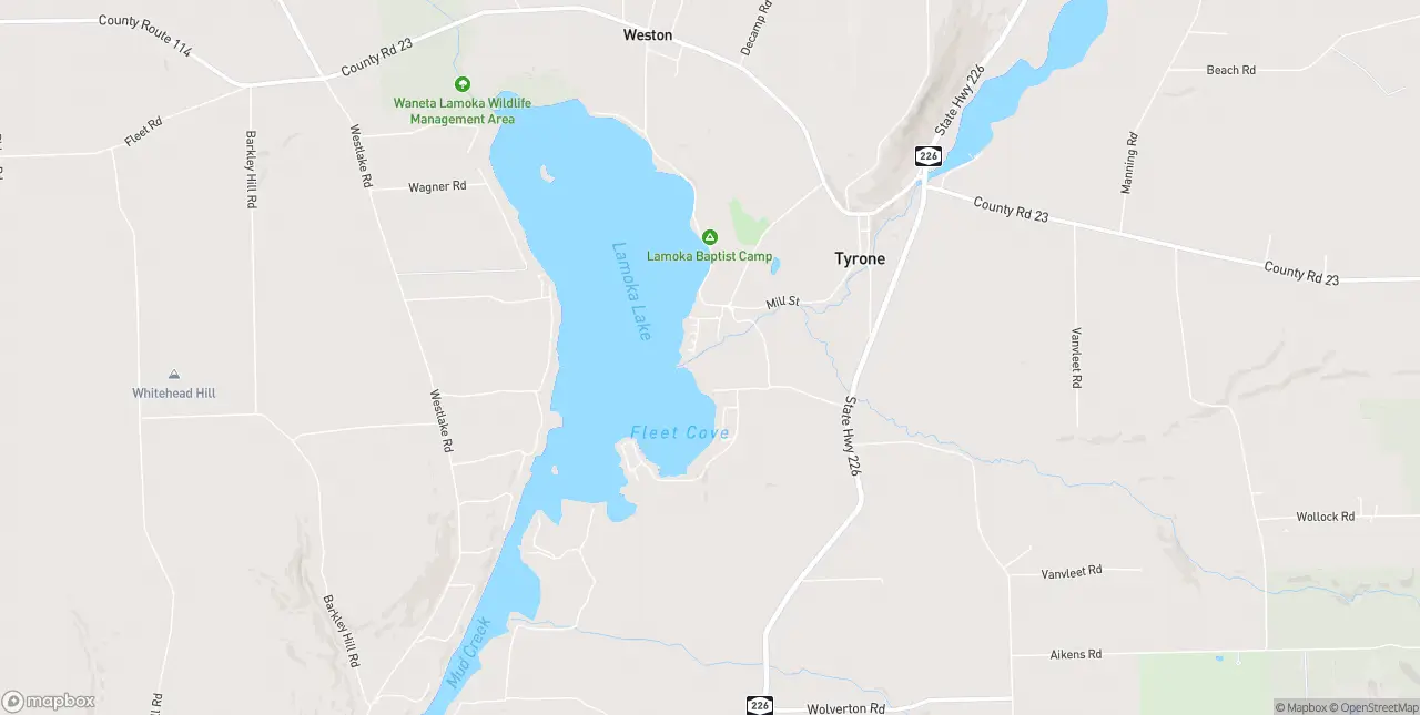 Internet in Tyrone