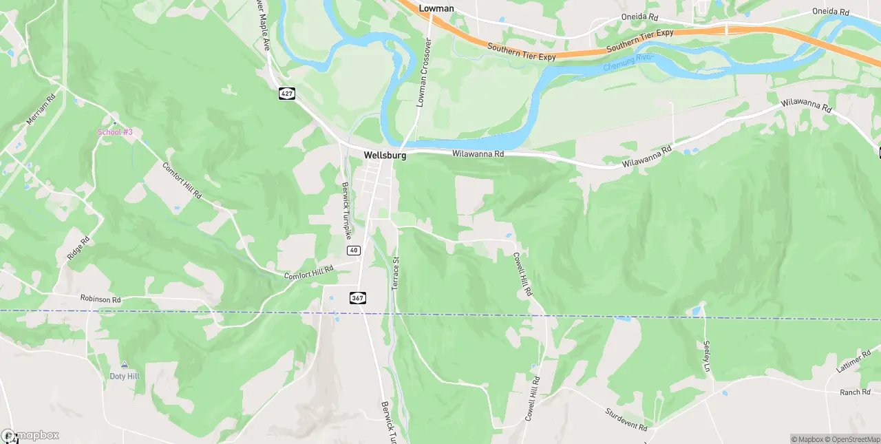 Internet in Wellsburg