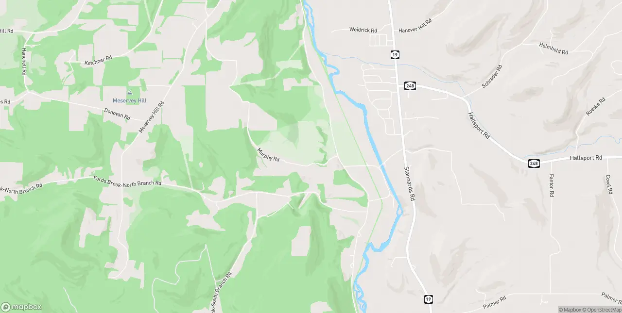 Internet in Wellsville