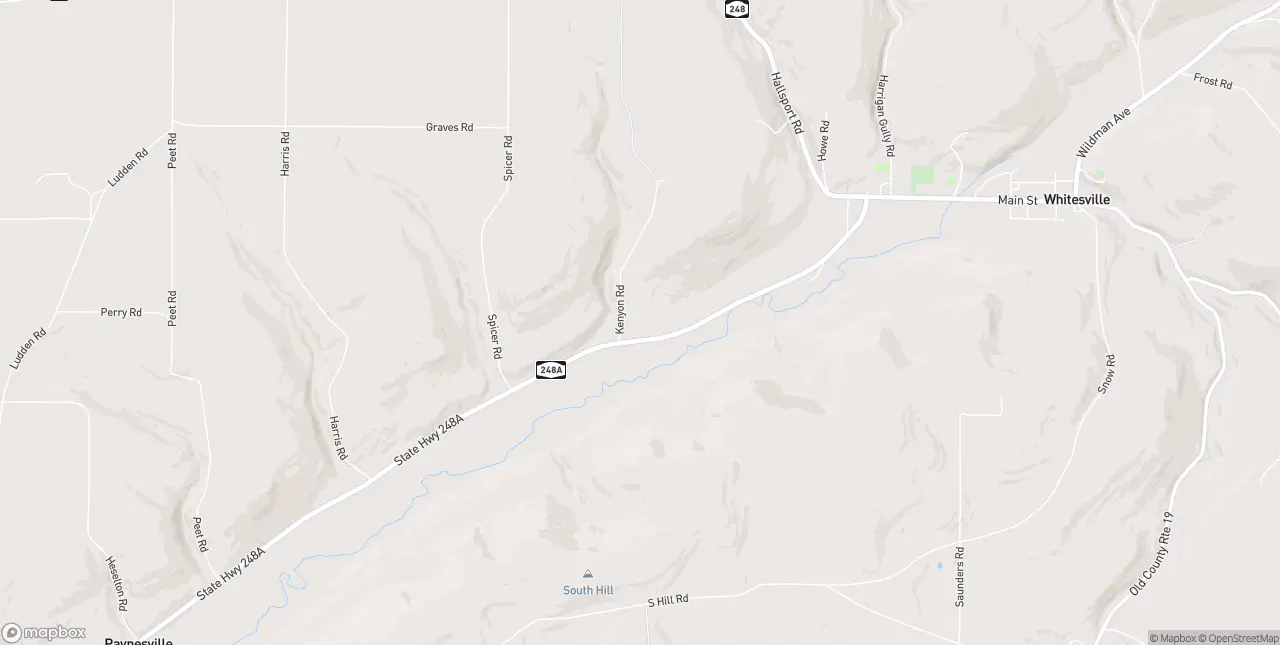 Internet in Whitesville