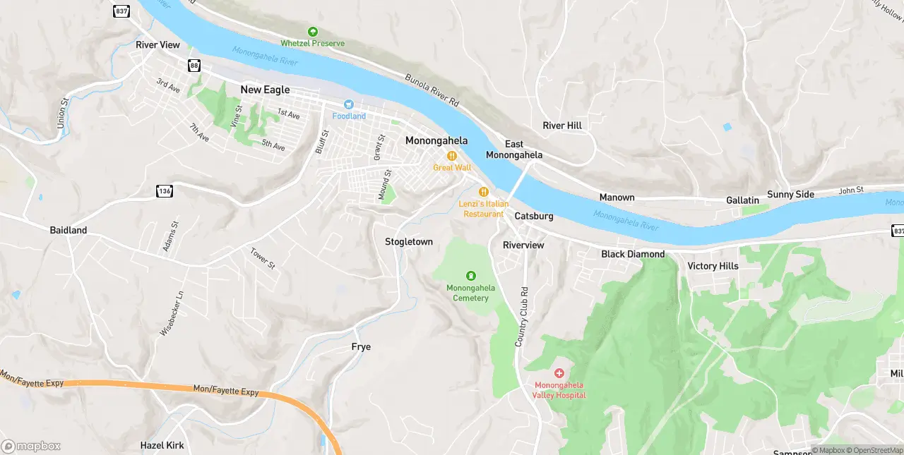 Internet in Monongahela