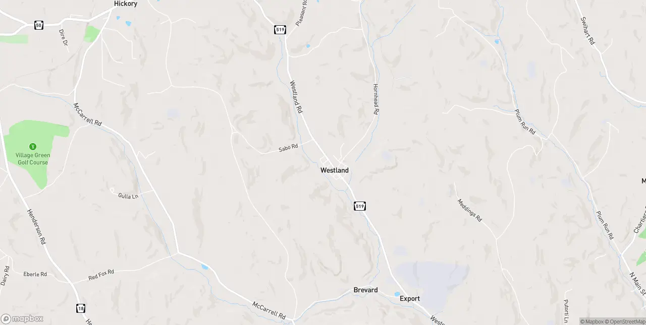 Internet in Westland