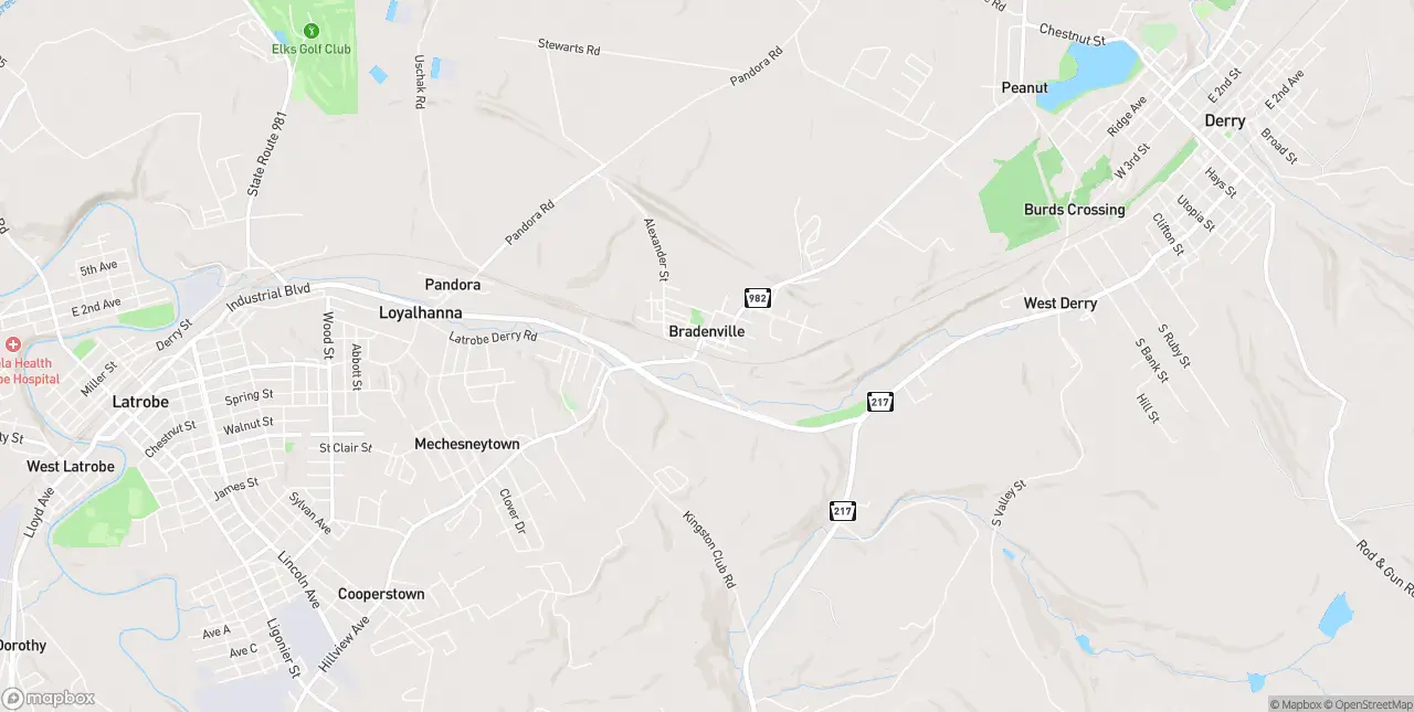 Internet in Bradenville