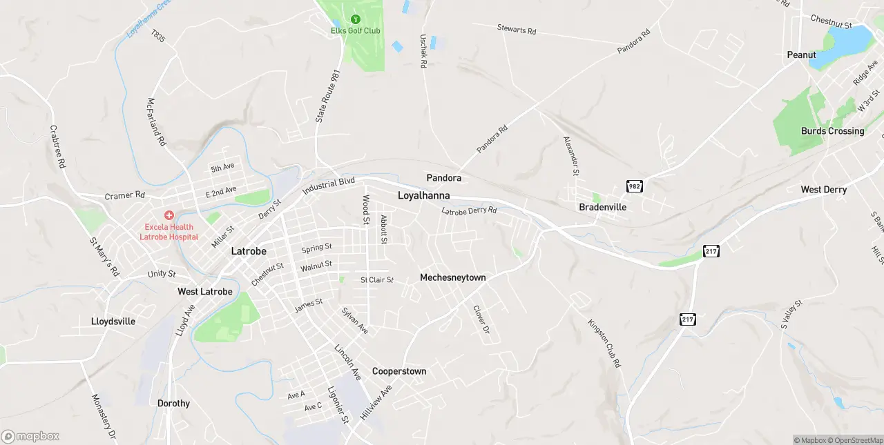 Internet in Loyalhanna