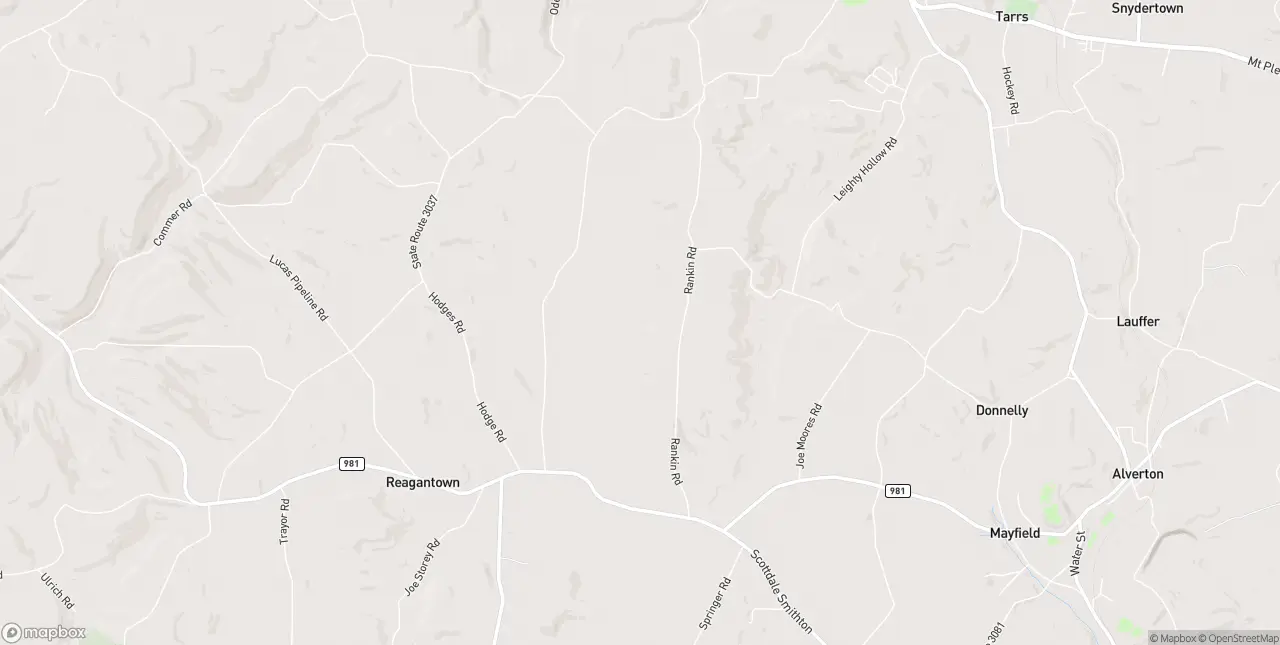 Internet in Ruffs Dale