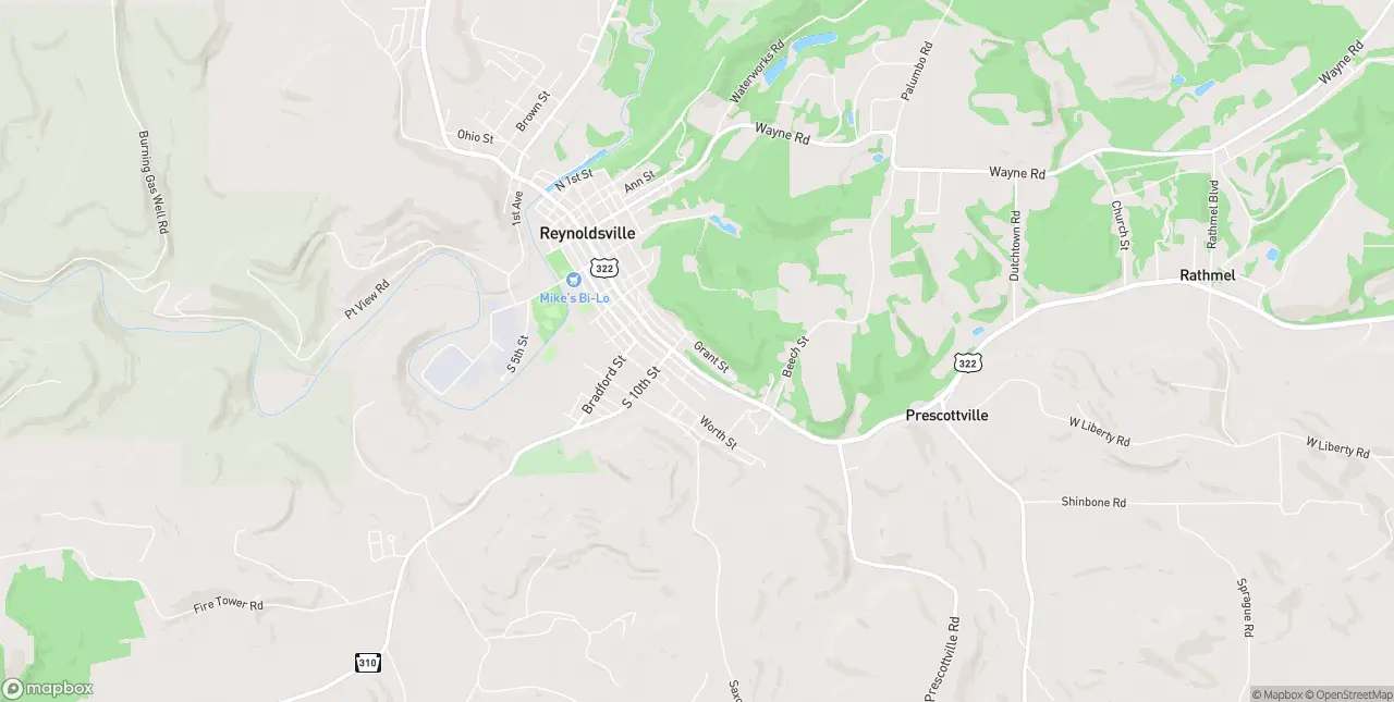 Internet in Reynoldsville