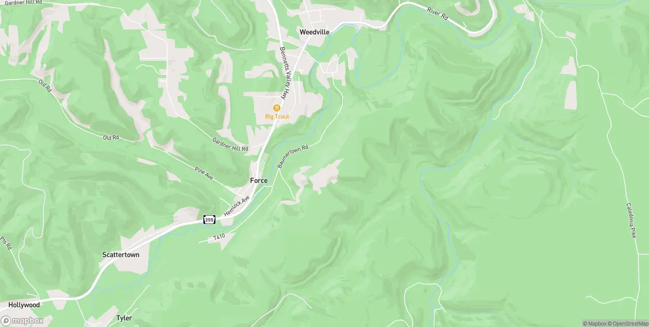 Internet in Weedville