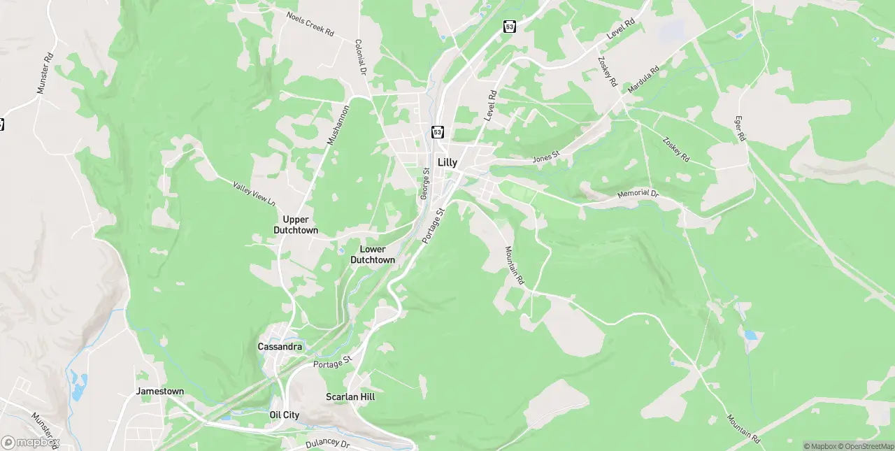 Internet in Lilly