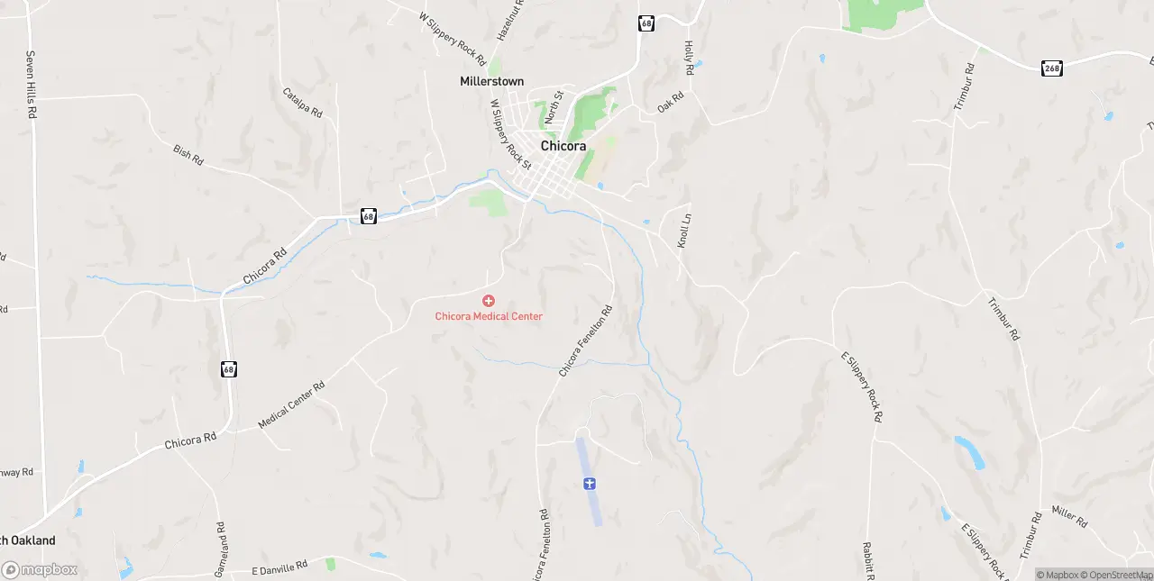 Internet in Chicora