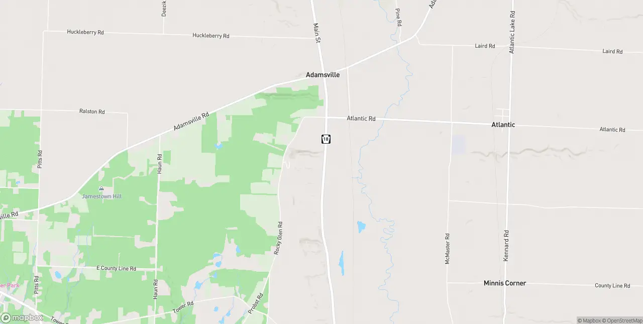 Internet in Adamsville