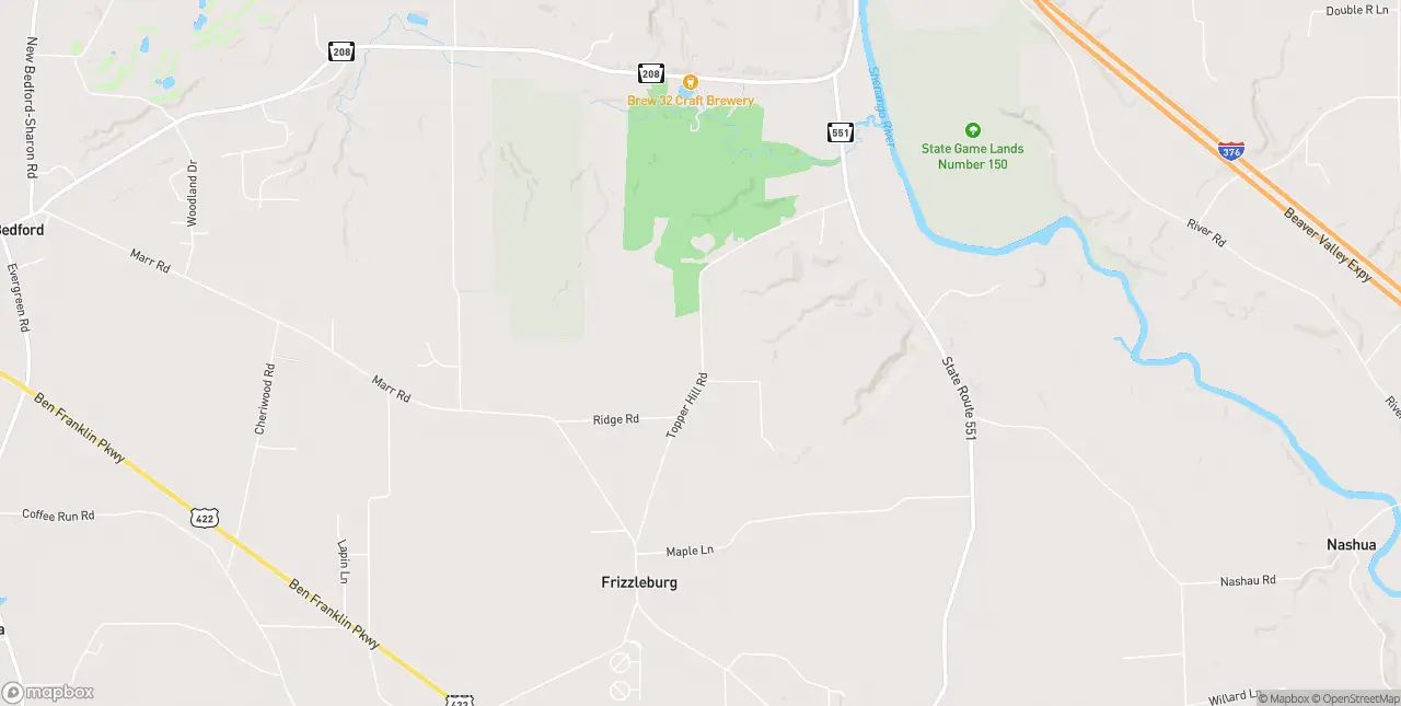 Internet in Pulaski