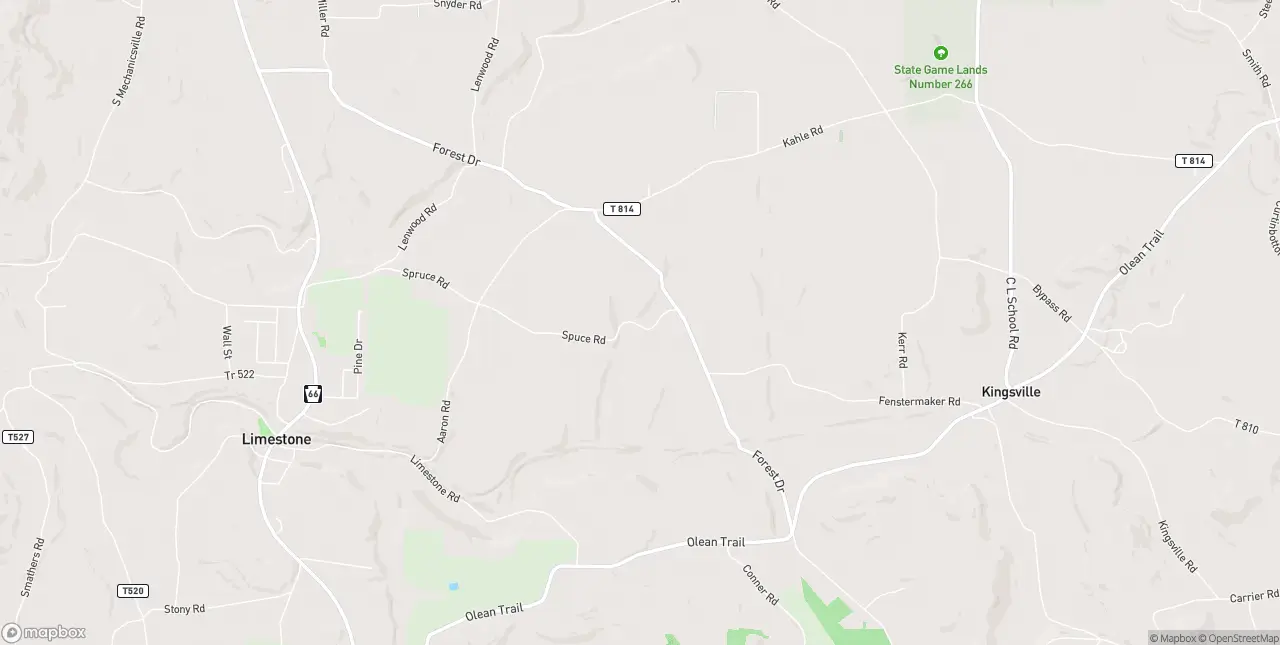 Internet in Limestone