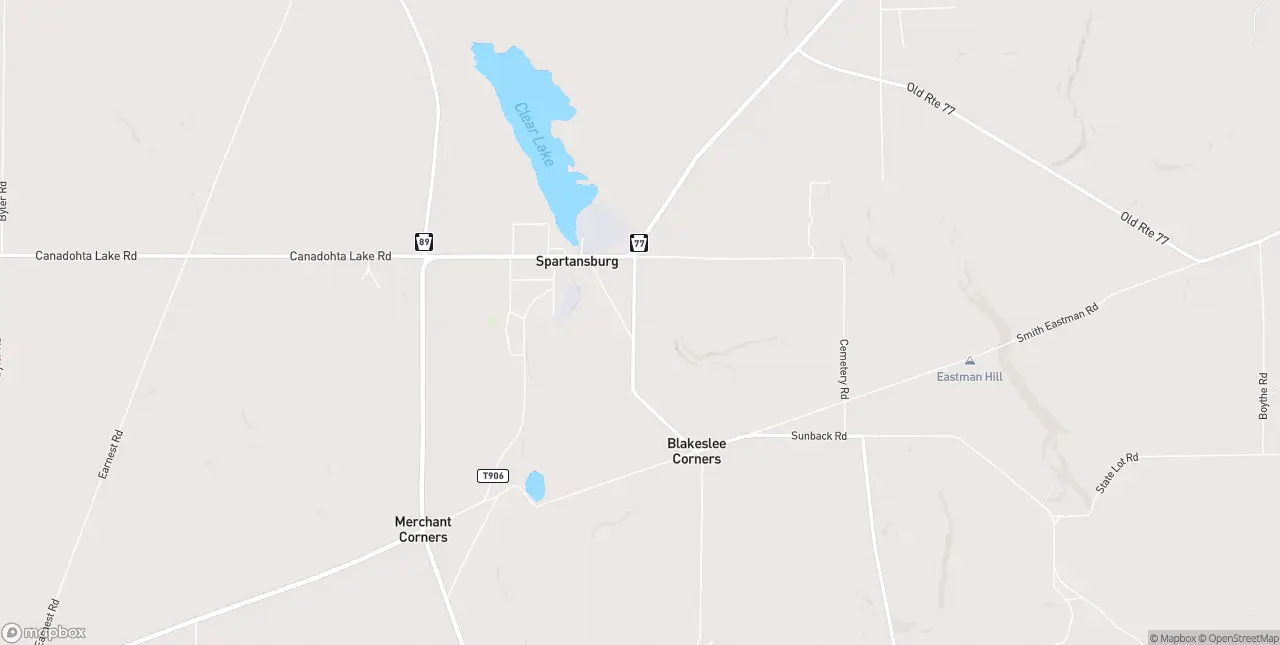 Internet in Spartansburg