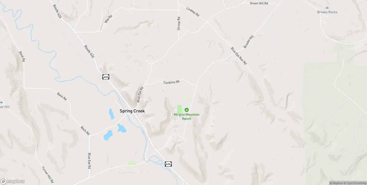 Internet in Spring Creek