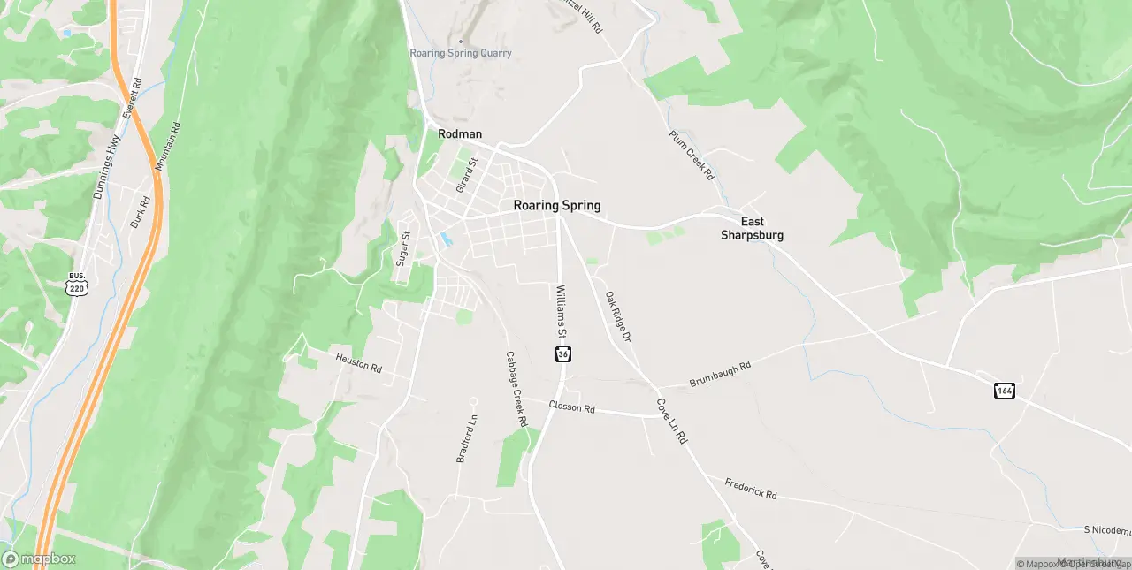 Internet in Roaring Spring