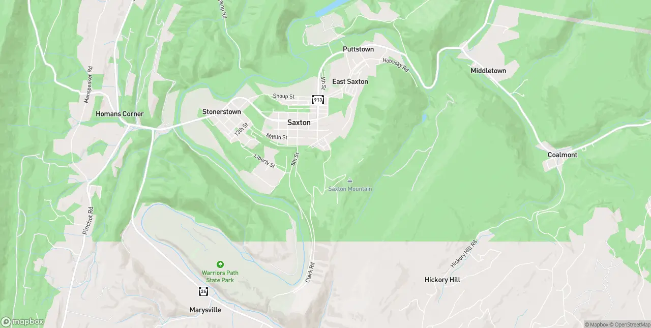 Internet in Saxton