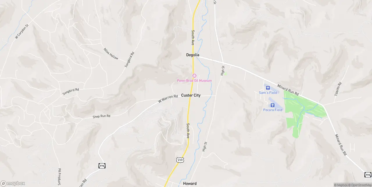 Internet in Custer City
