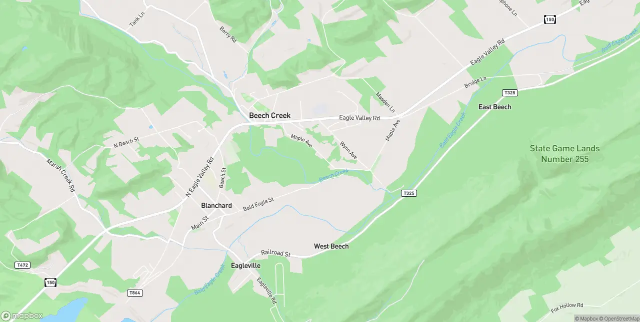 Internet in Beech Creek