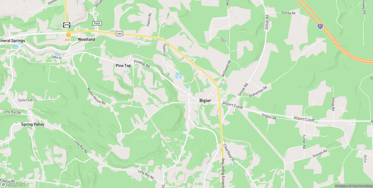 Internet in Bigler