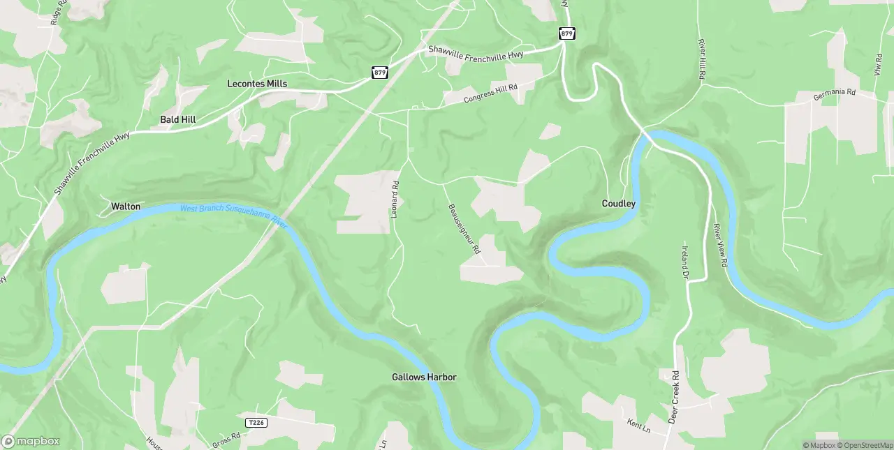 Internet in Lecontes Mills