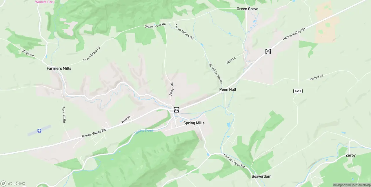 Internet in Spring Mills
