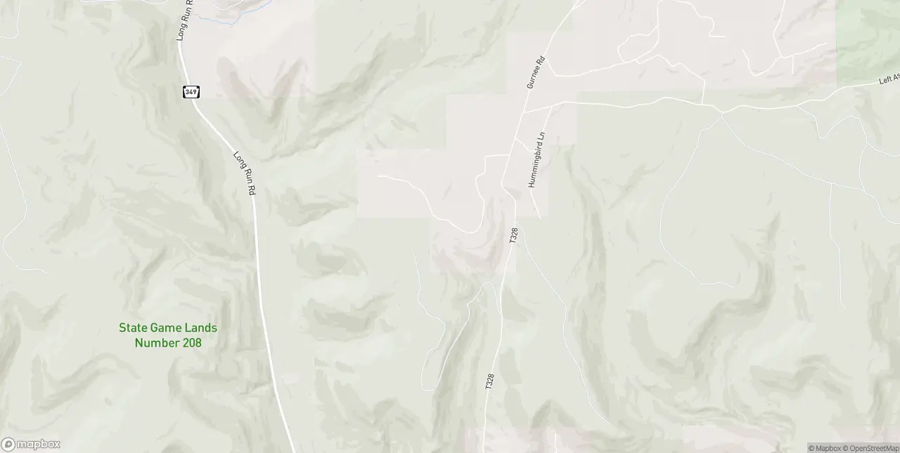 Internet in Gaines