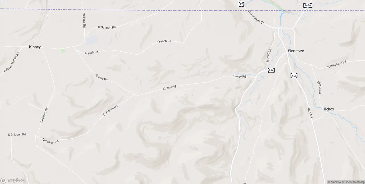 Internet in Genesee