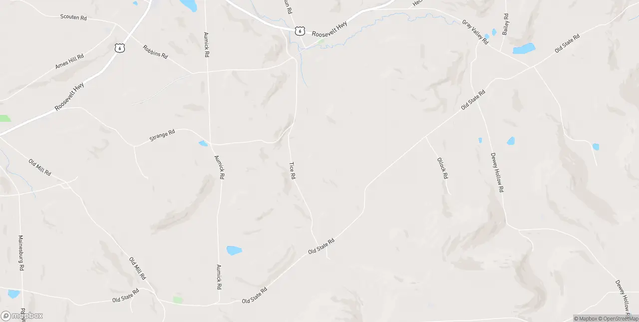 Internet in Mainesburg