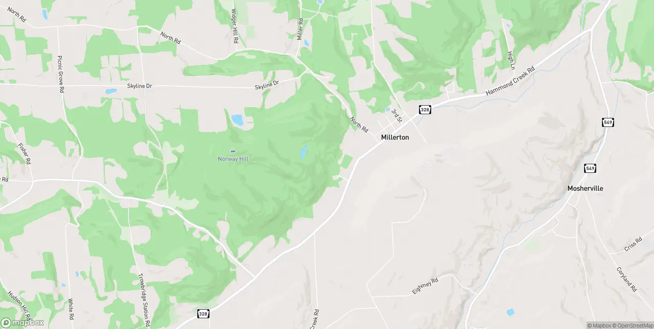 Internet in Millerton
