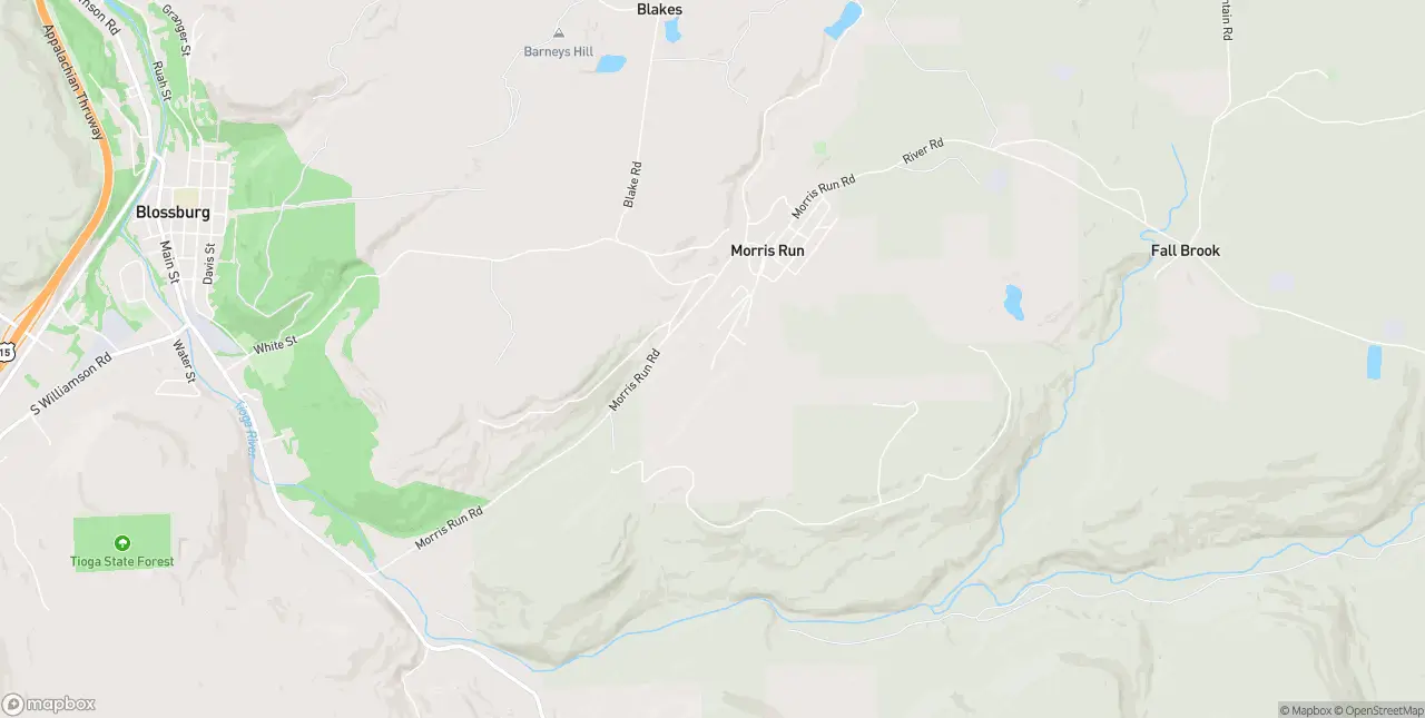 Internet in Morris Run