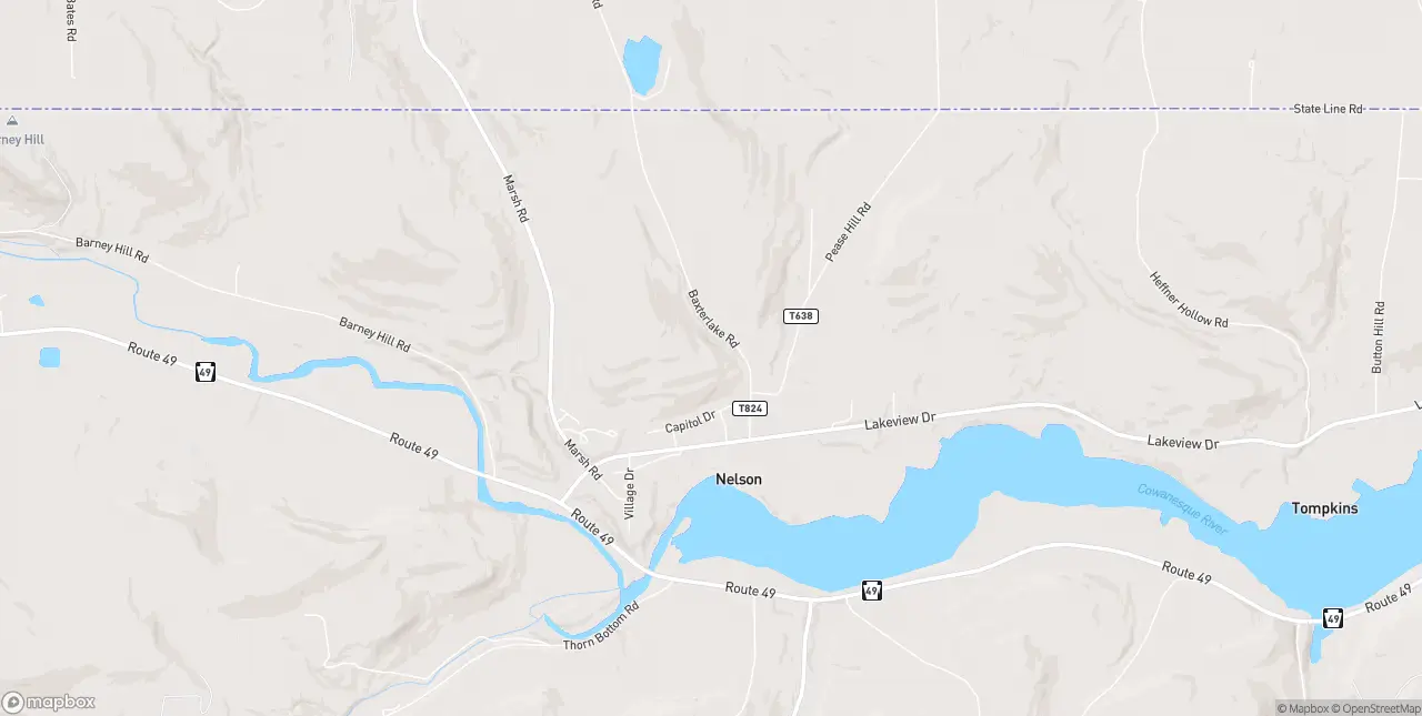 Internet in Nelson