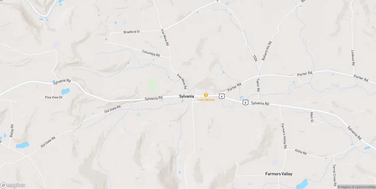 Internet in Sylvania