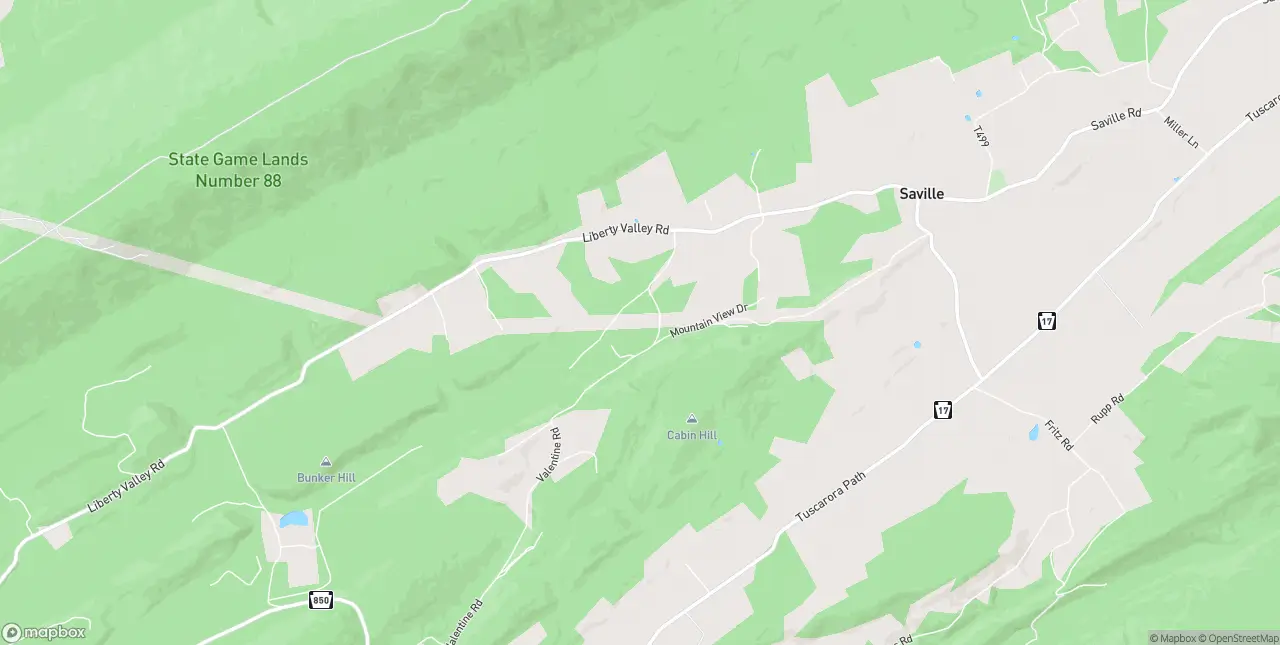 Internet in Ickesburg
