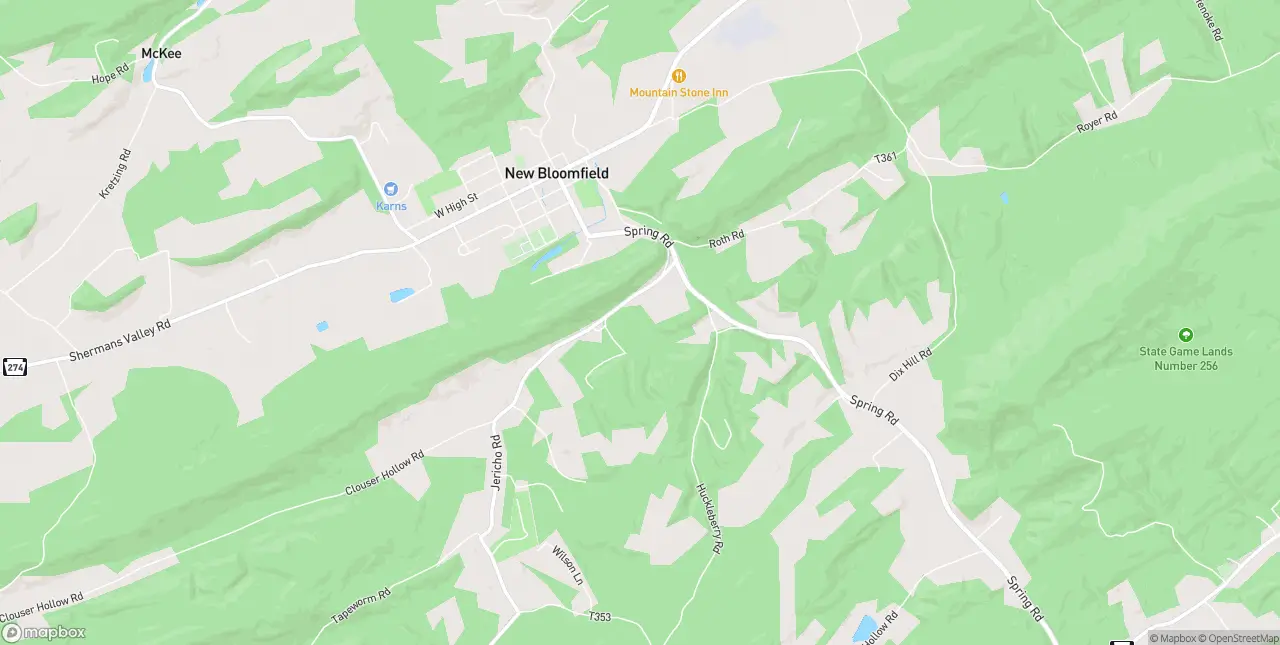 Internet in New Bloomfield