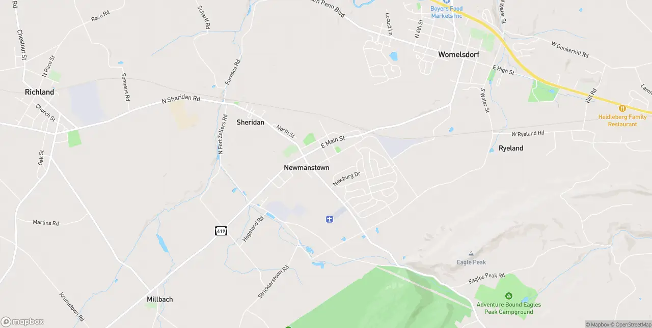 Internet in Newmanstown