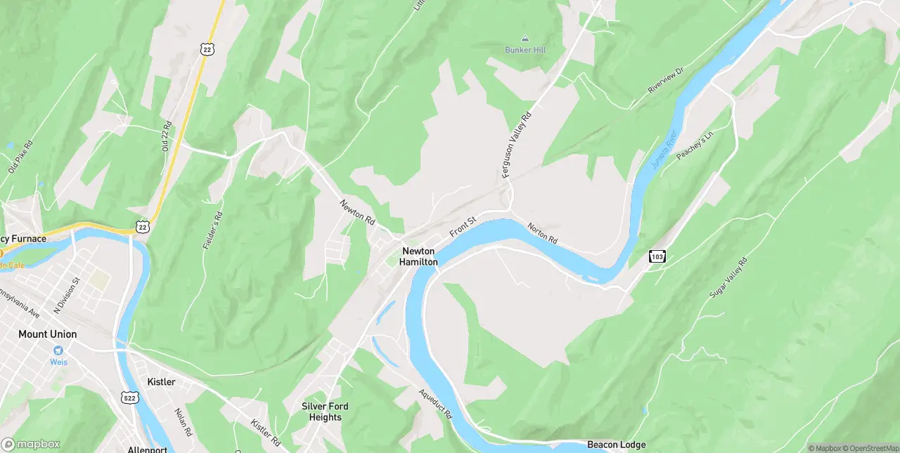 Internet in Newton Hamilton