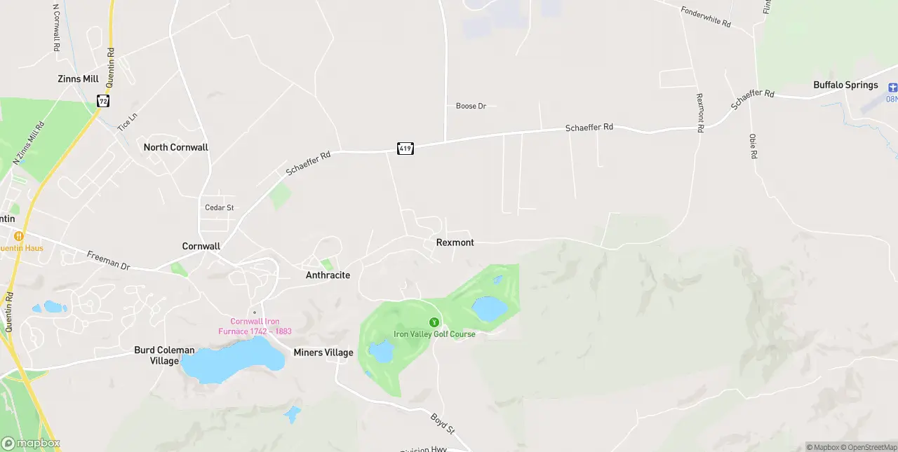 Internet in Rexmont