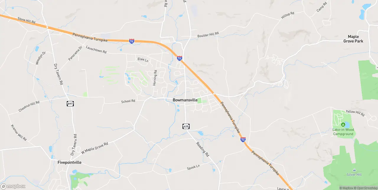 Internet in Bowmansville