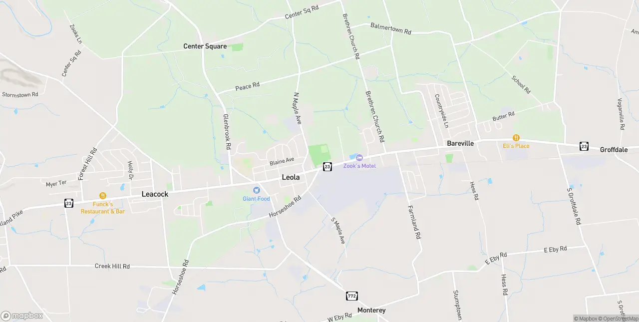 Internet in Leola