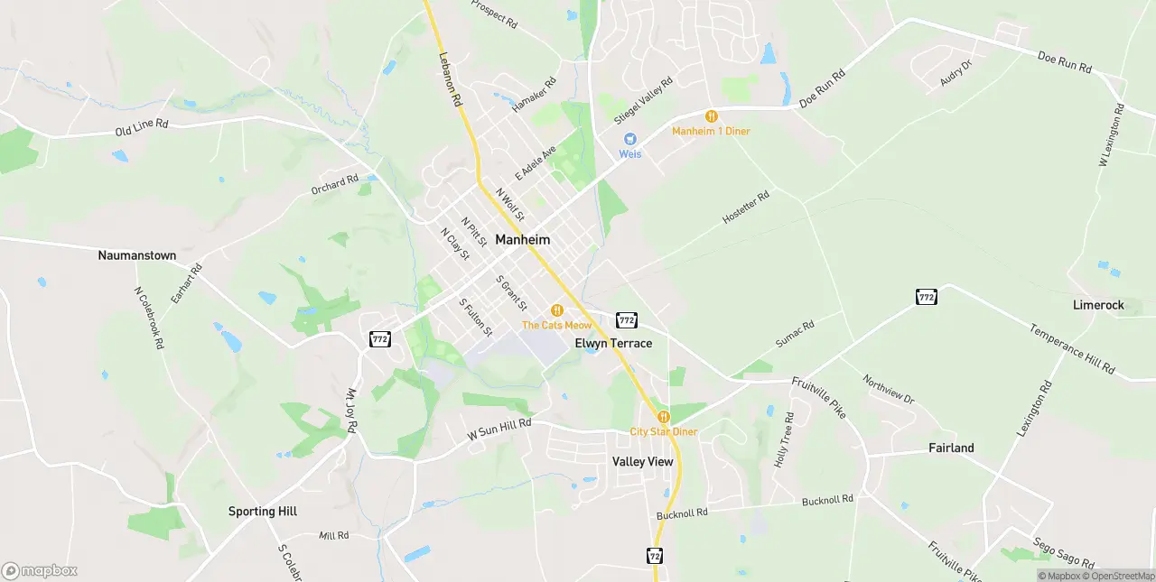Internet in Manheim